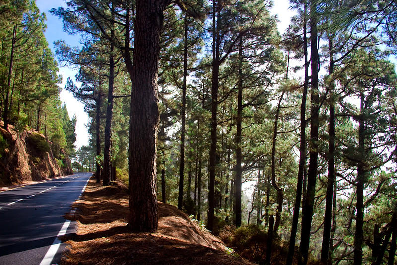 Road to Teide